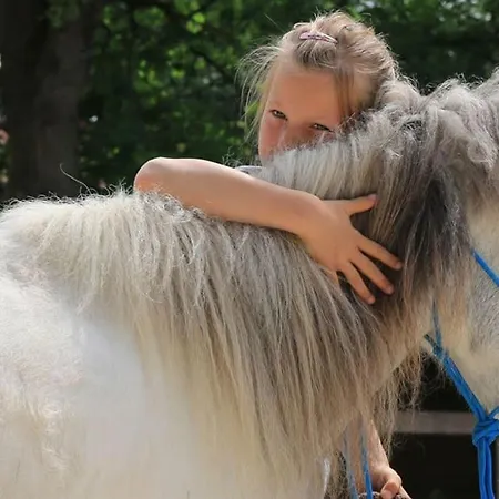 Mit Sauna Reiterhof Barrierefrei Lichtenau