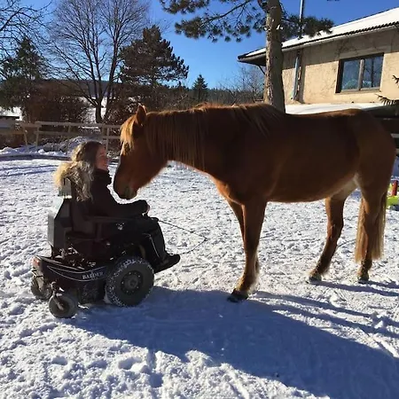 Mit Sauna Reiterhof Barrierefrei Lejlighed
