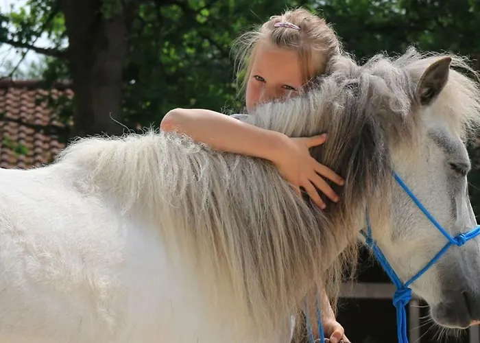 Mit Sauna Reiterhof Barrierefrei Lichtenau